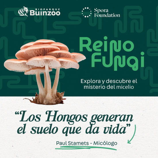 Fundación Spora-Buin Zoo